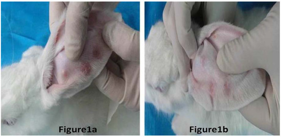 Molecules 17 02169 g001 550