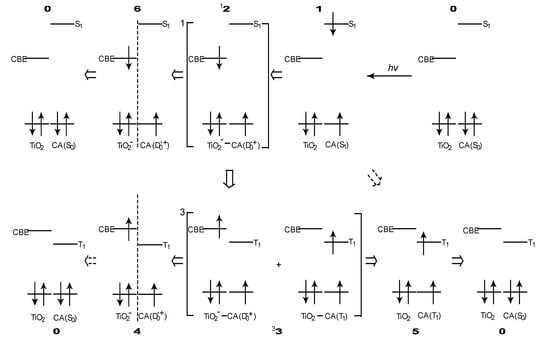 Molecules 17 02188 g008 550