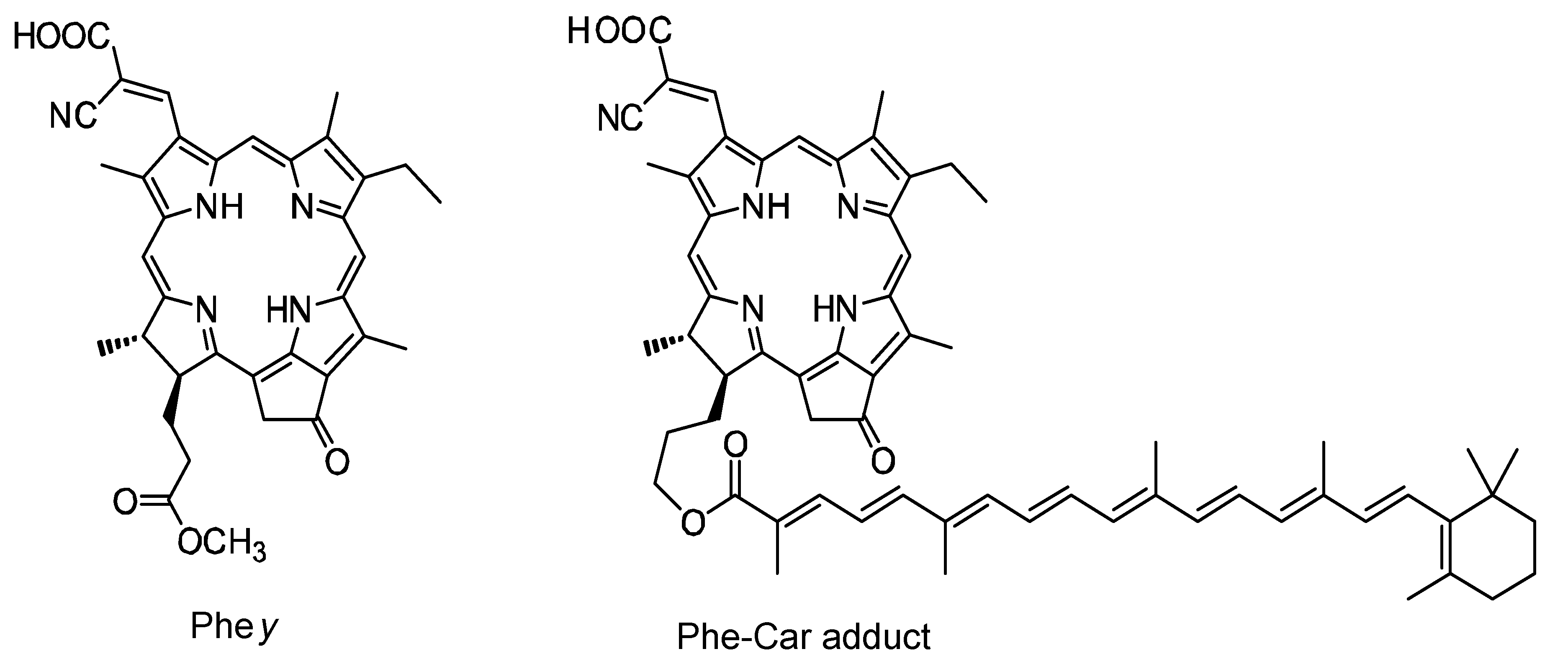 Molecules 17 02188 g016