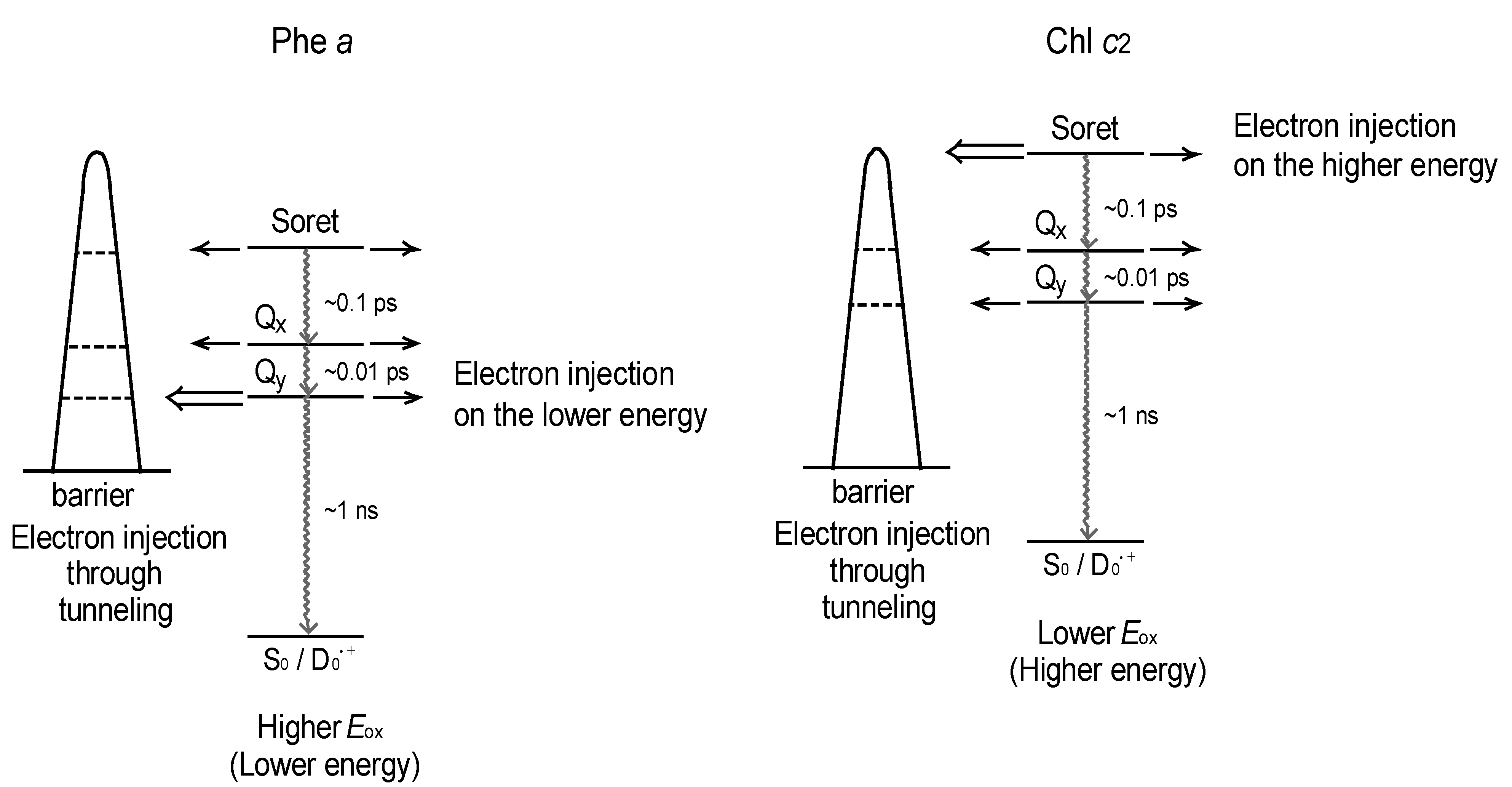 Molecules 17 02188 g027
