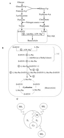 Molecules 17 02367 g003 550