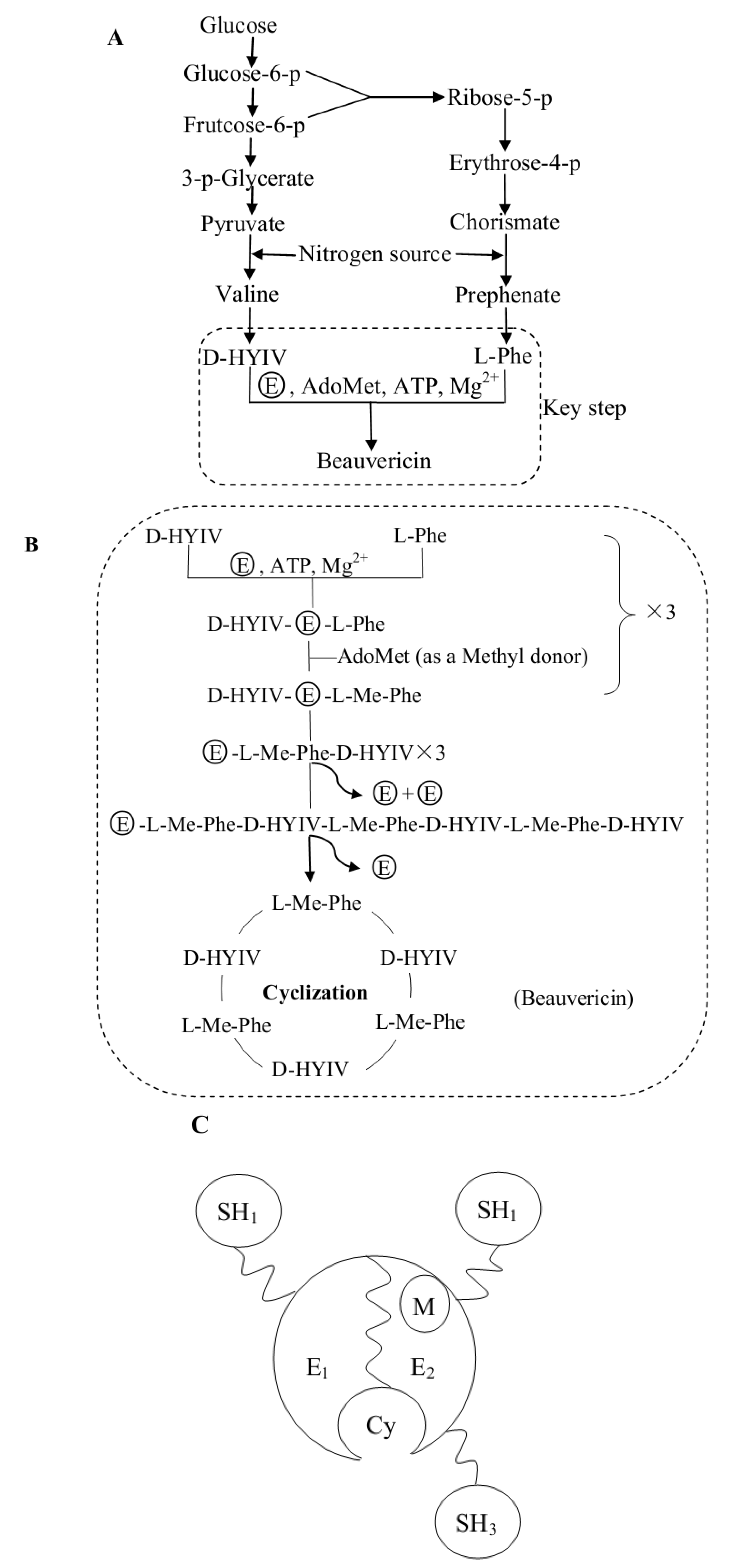 Molecules 17 02367 g003