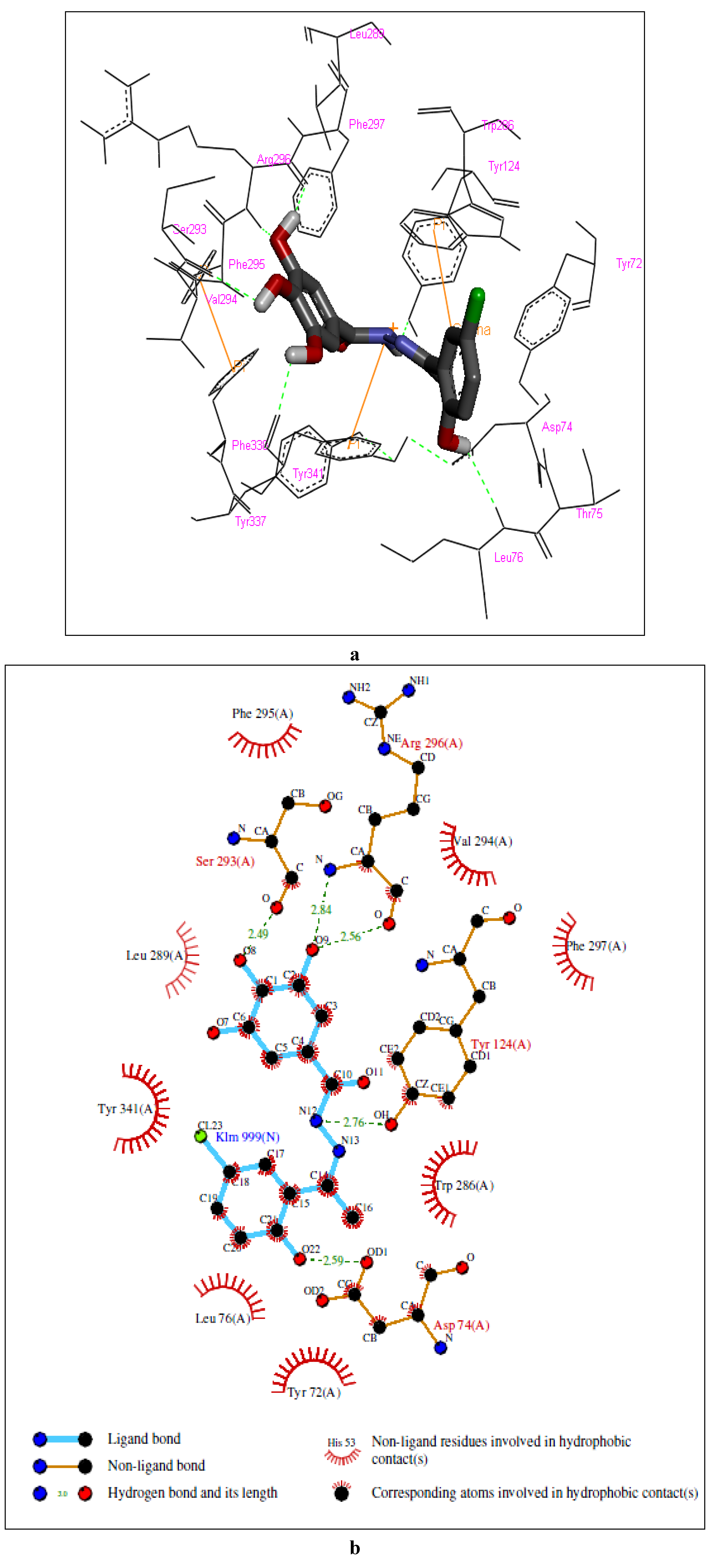Molecules 17 02408 g003