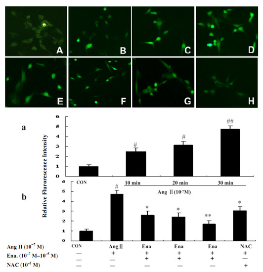 Molecules 17 02738 g002 550