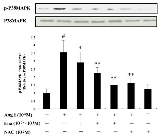 Molecules 17 02738 g003 550
