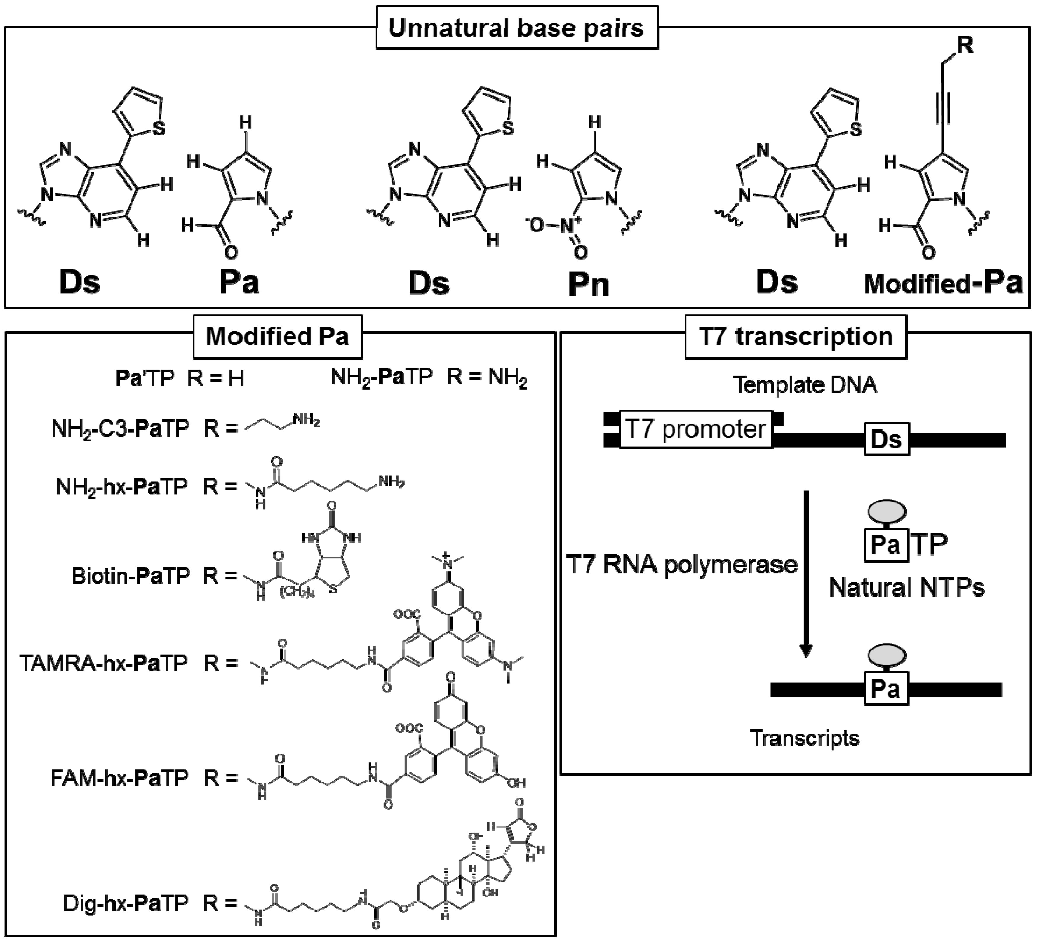 Molecules 17 02855 g001