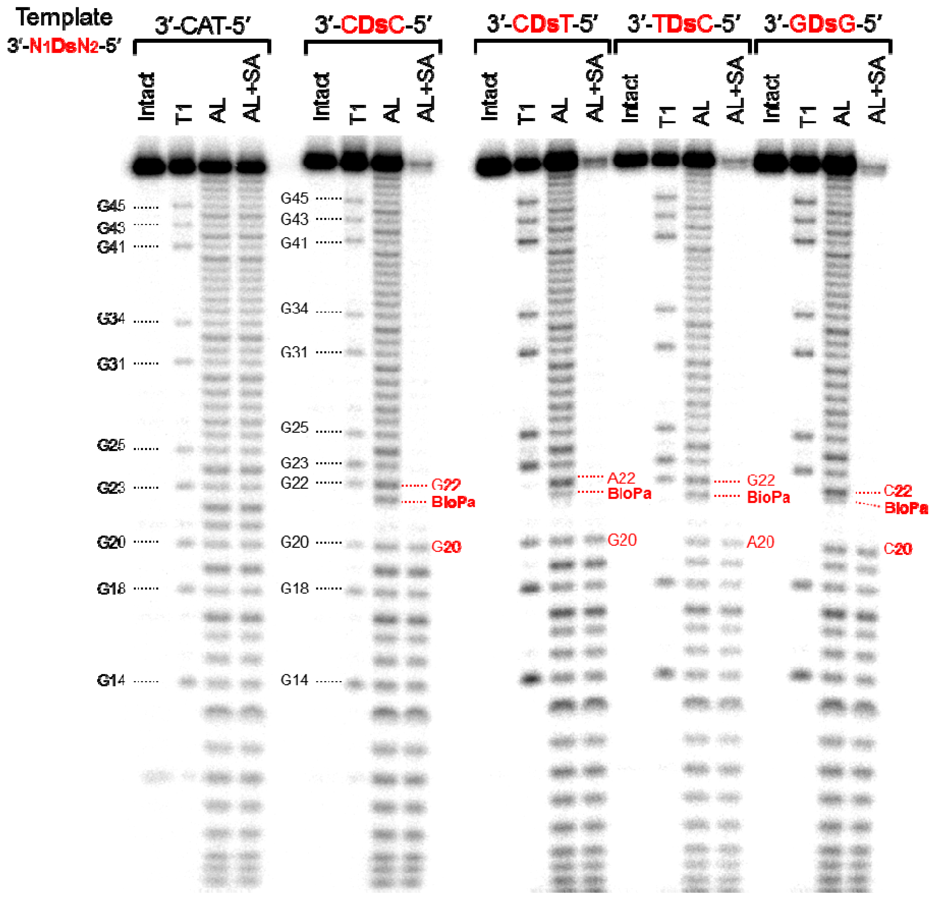 Molecules 17 02855 g004