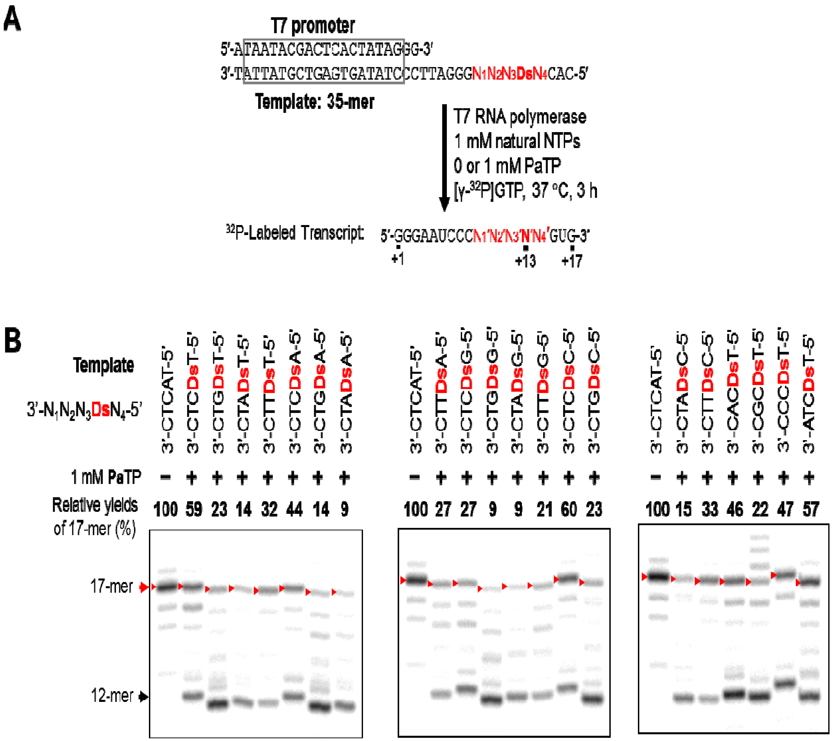 Molecules 17 02855 g006