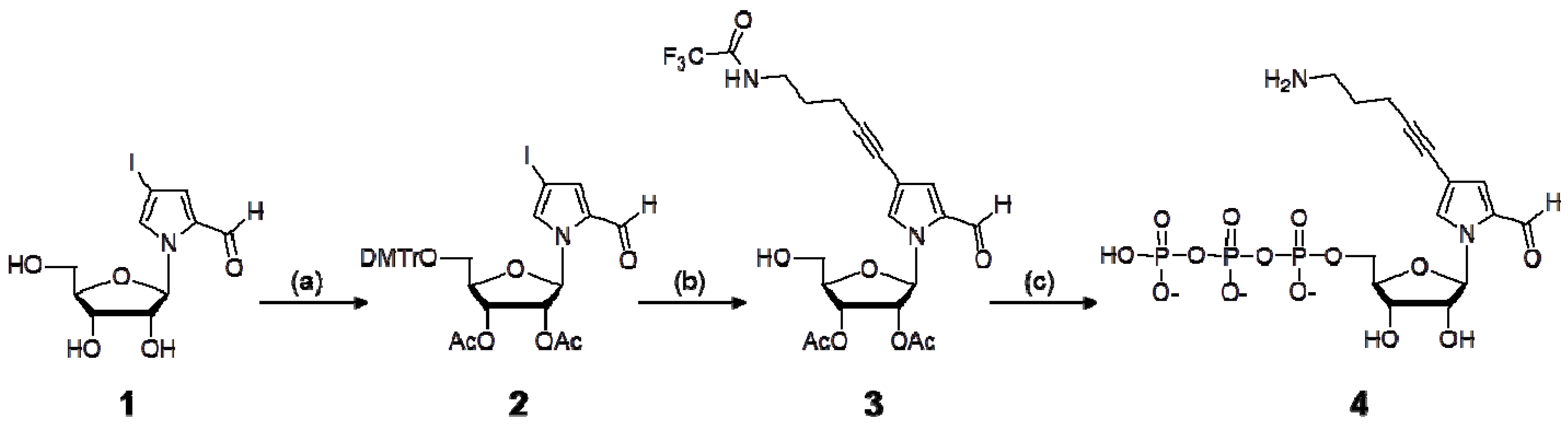 Molecules 17 02855 sch001