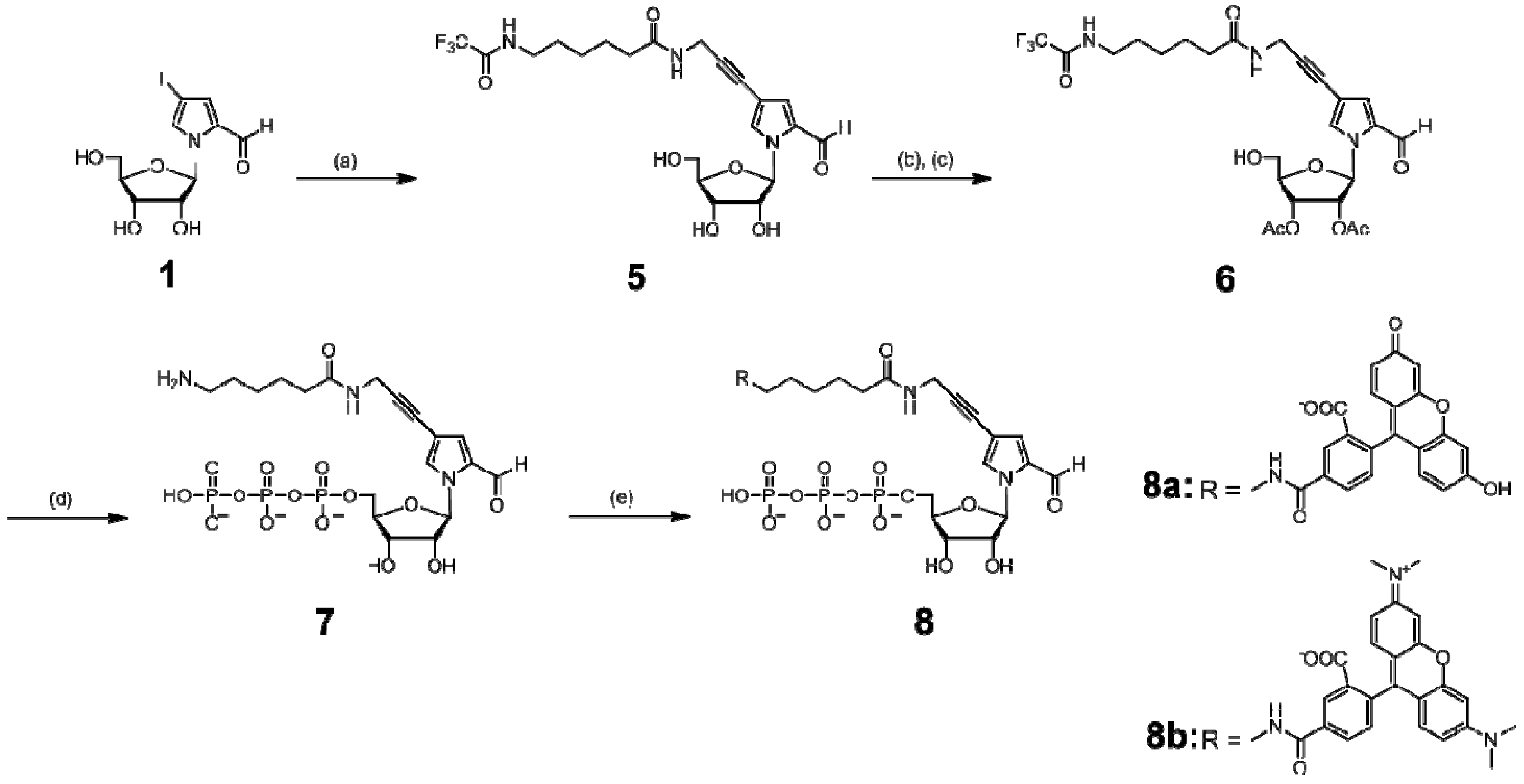 Molecules 17 02855 sch002