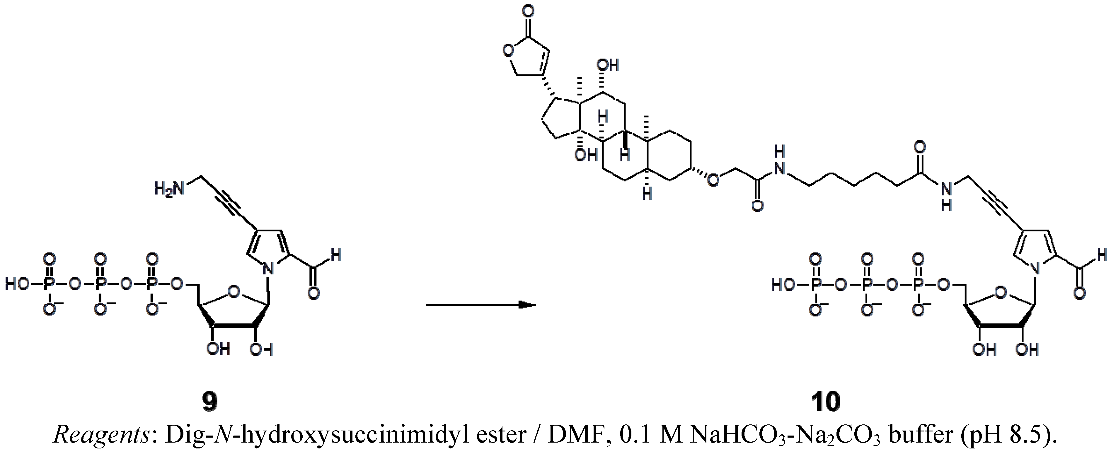 Molecules 17 02855 sch003