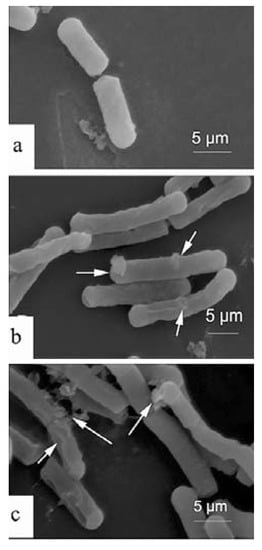 Molecules 17 02980 g005 550