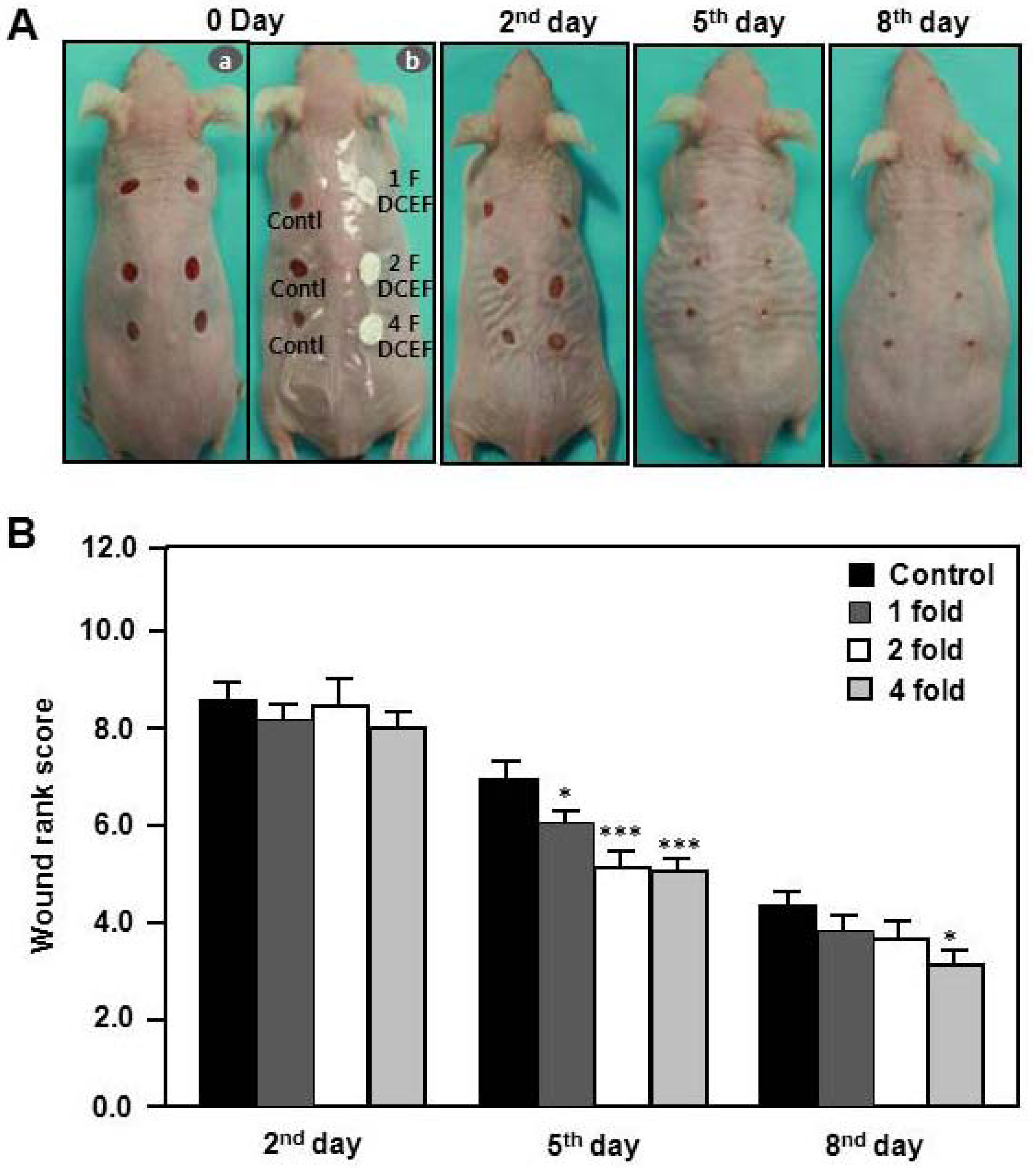 Molecules 17 02992 g005