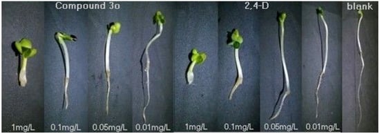 Molecules 17 03181 g001 550