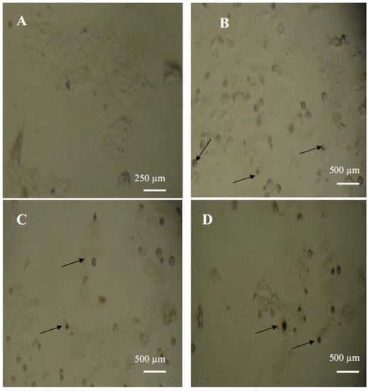 Molecules 17 03291 g001 550