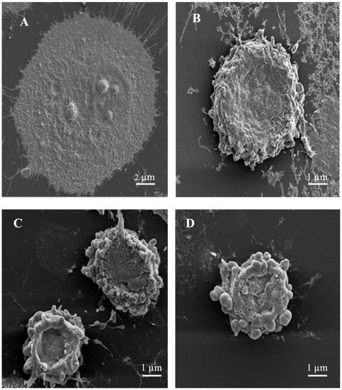 Molecules 17 03291 g002 550