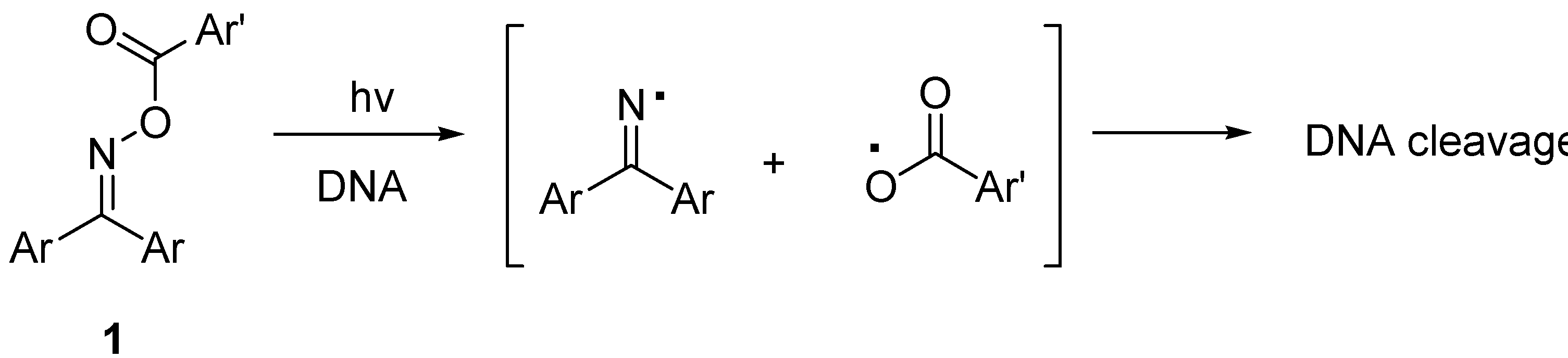 Molecules 17 03370 g001
