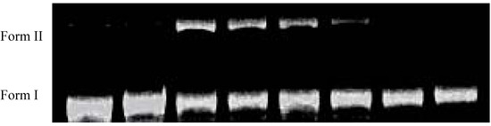 Molecules 17 03370 g007 550