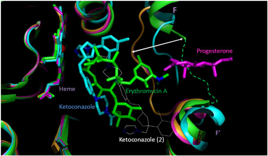 Molecules 17 03407 g007 550