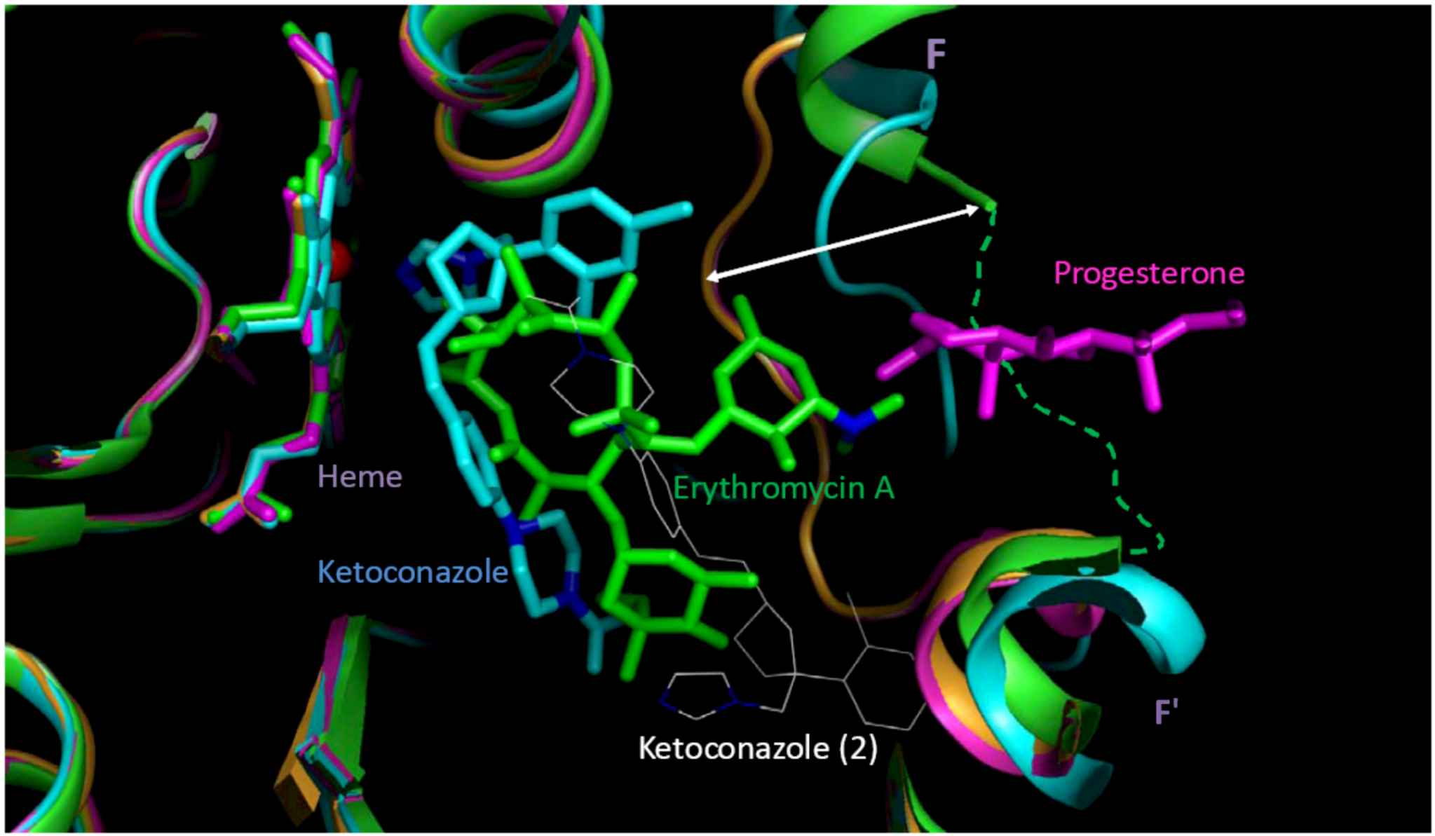 Molecules 17 03407 g007