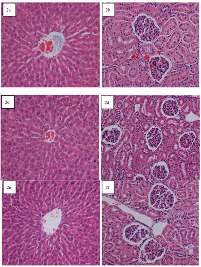 Molecules 17 03547 g002 550