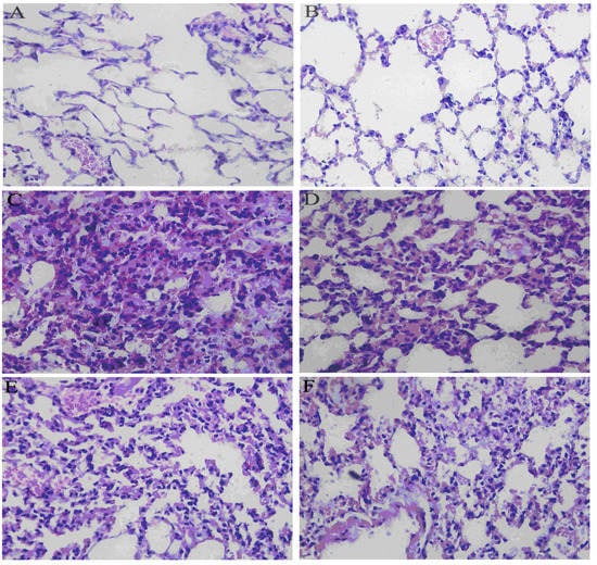 Molecules 17 03586 g005 550