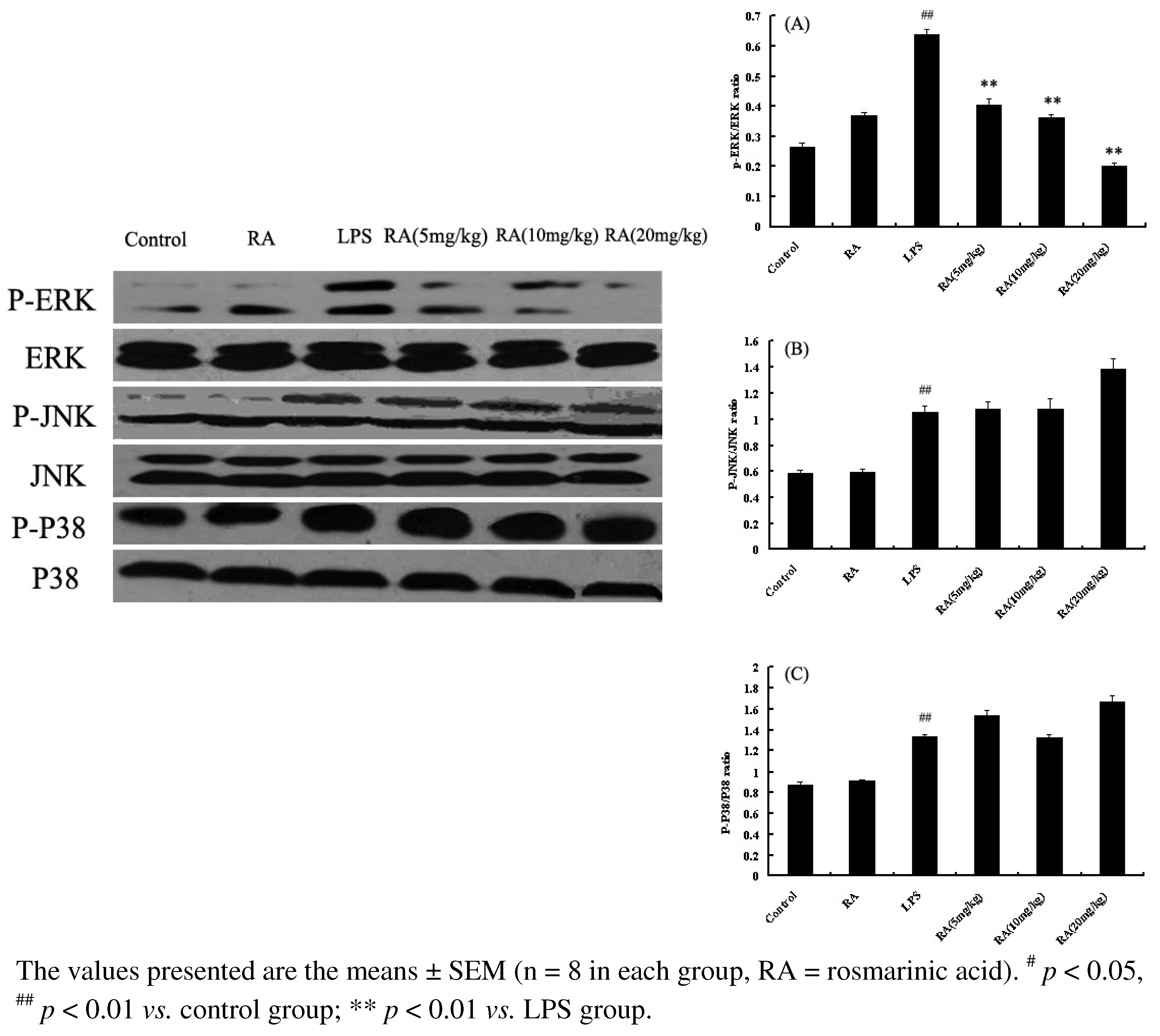 Molecules 17 03586 g006