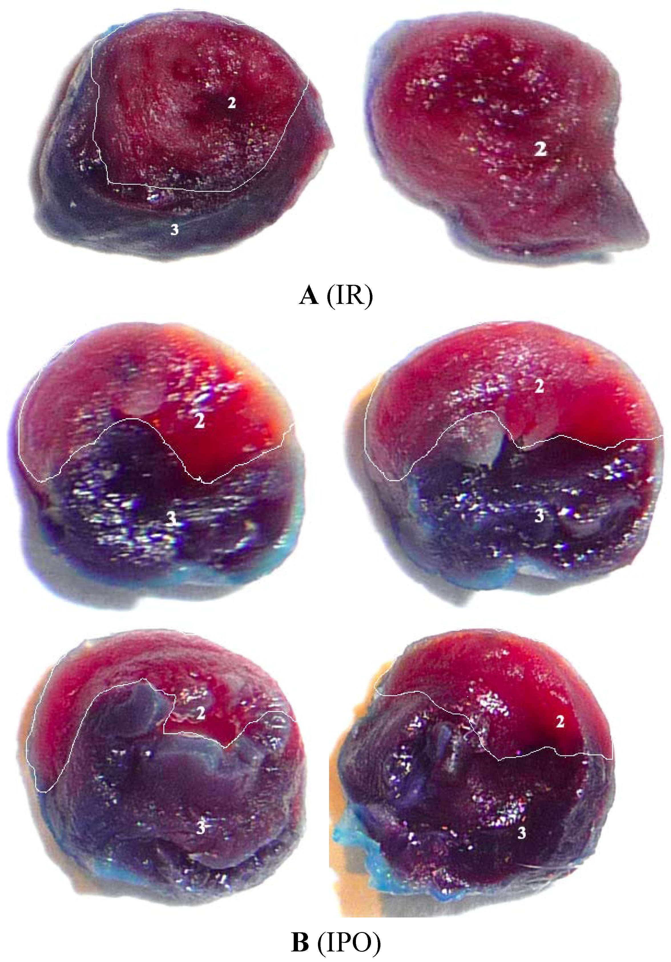 Molecules 17 03805 g001