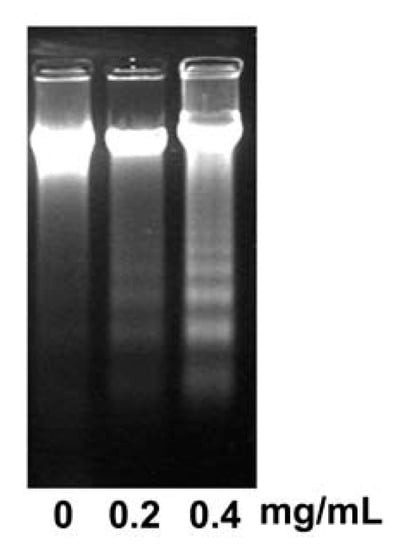 Molecules 17 03890 g004 550