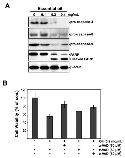 Molecules 17 03890 g005 550