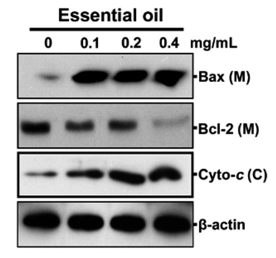 Molecules 17 03890 g006 550