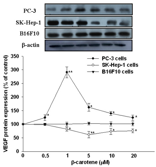 Molecules 17 03981 g003 550