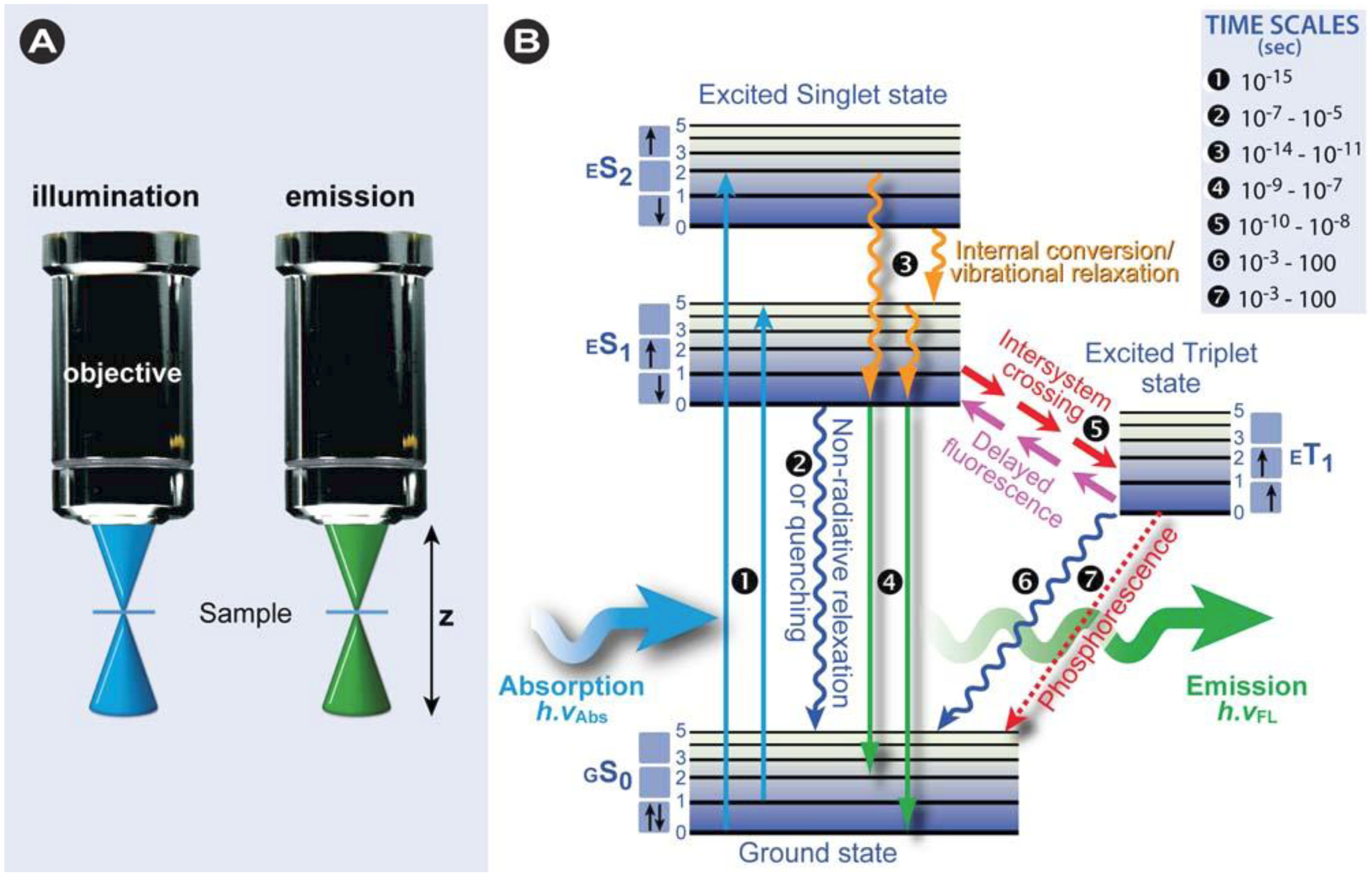 Molecules 17 04047 g002
