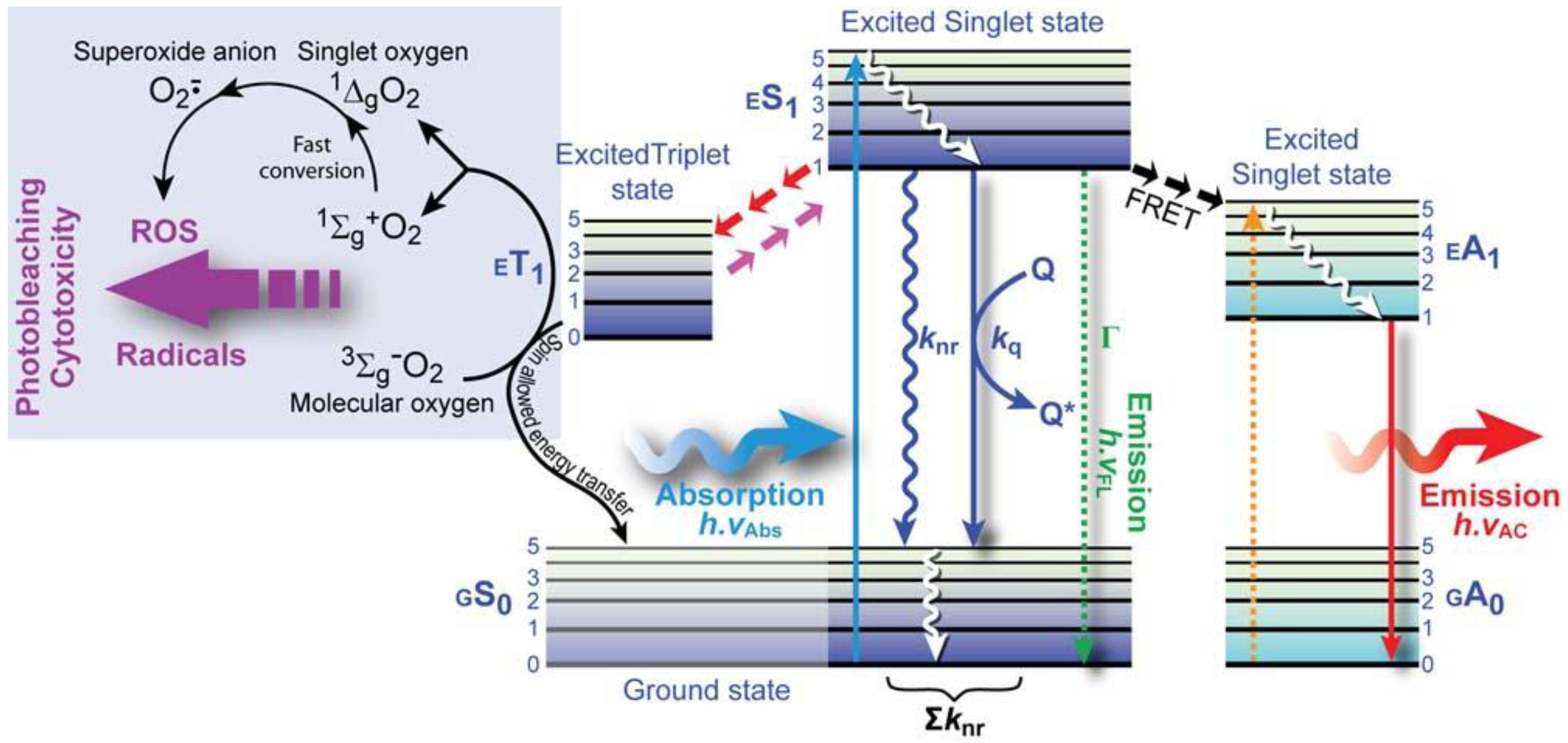 Molecules 17 04047 g004