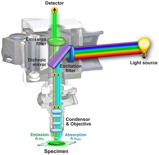 Molecules 17 04047 g005 550
