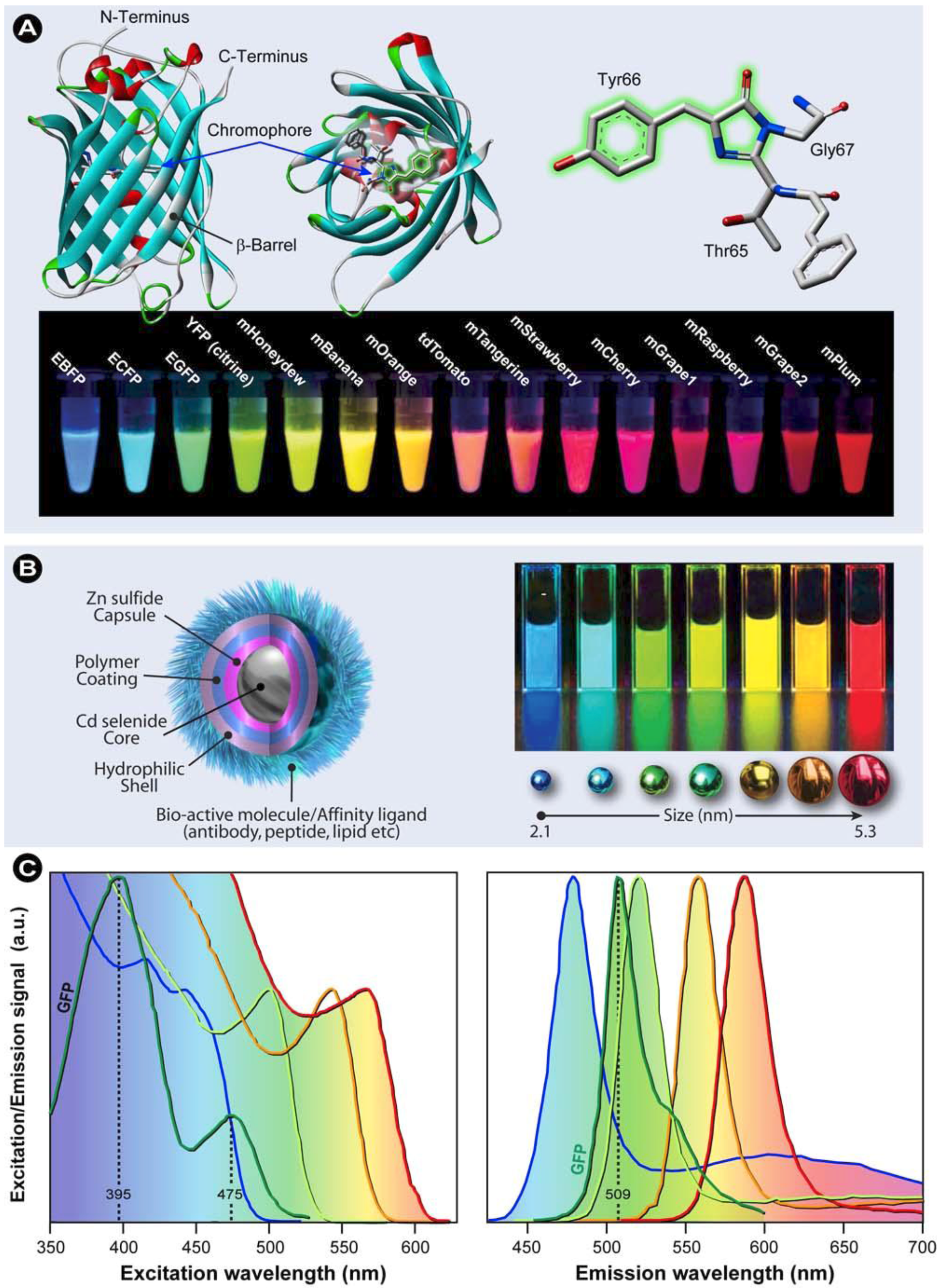 Molecules 17 04047 g006