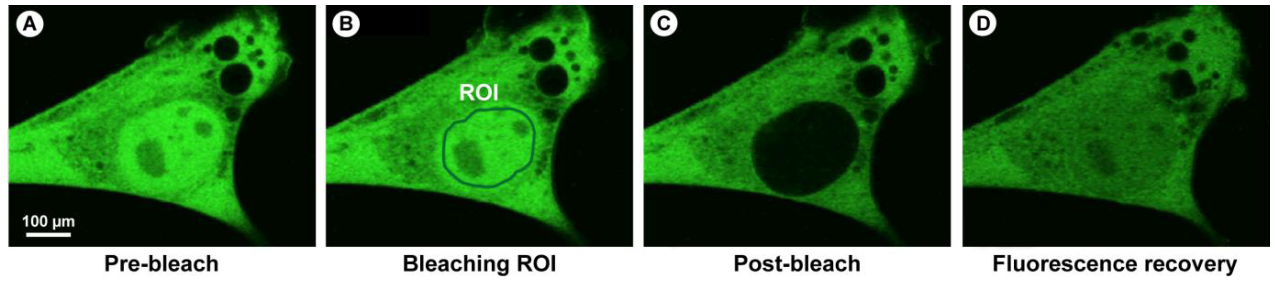 Molecules 17 04047 g012