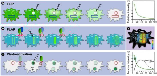 Molecules 17 04047 g015 550