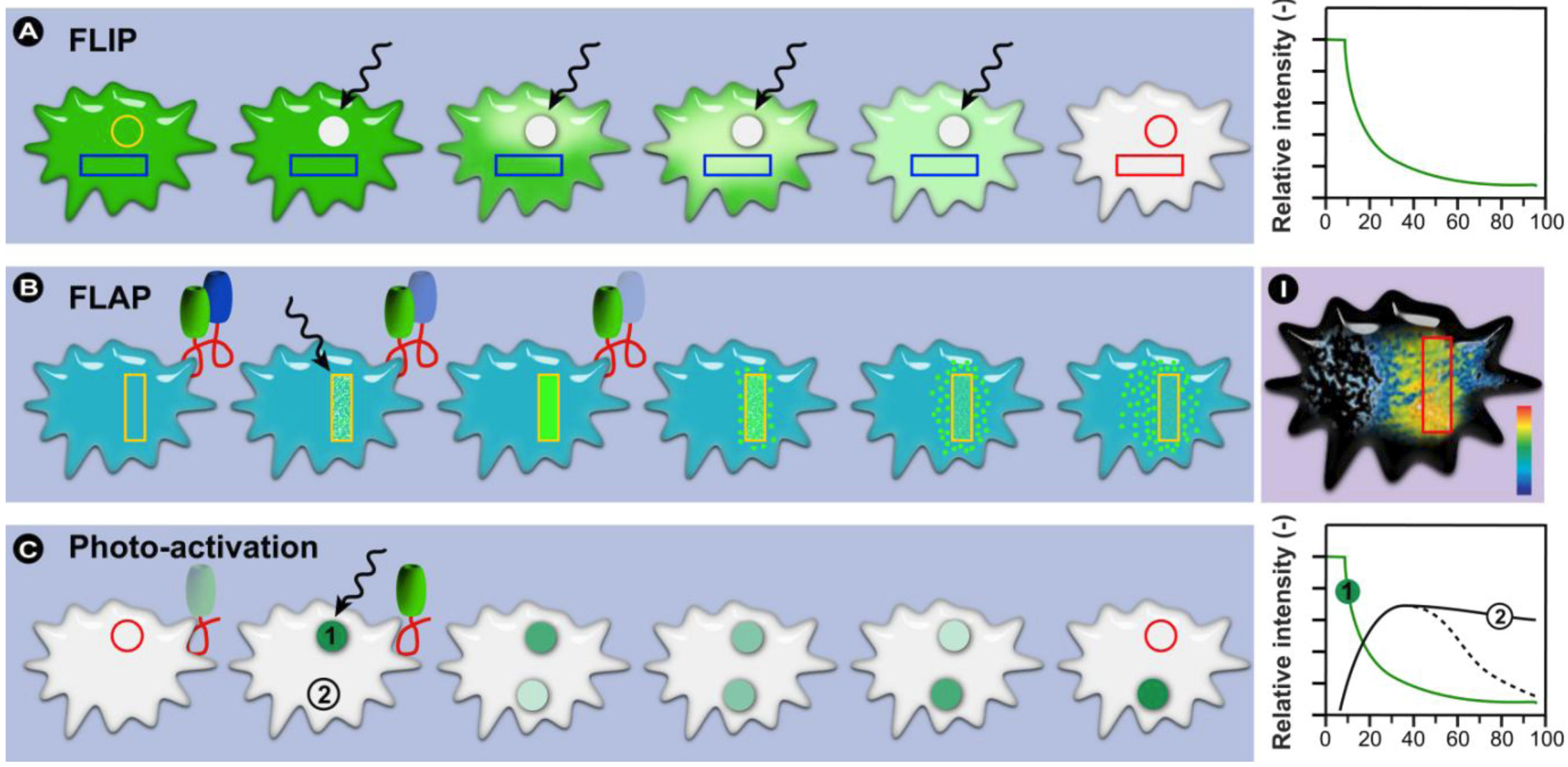 Molecules 17 04047 g015
