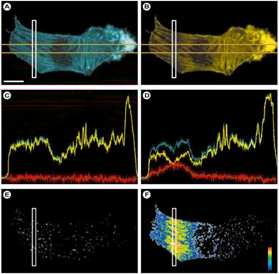 Molecules 17 04047 g017 550