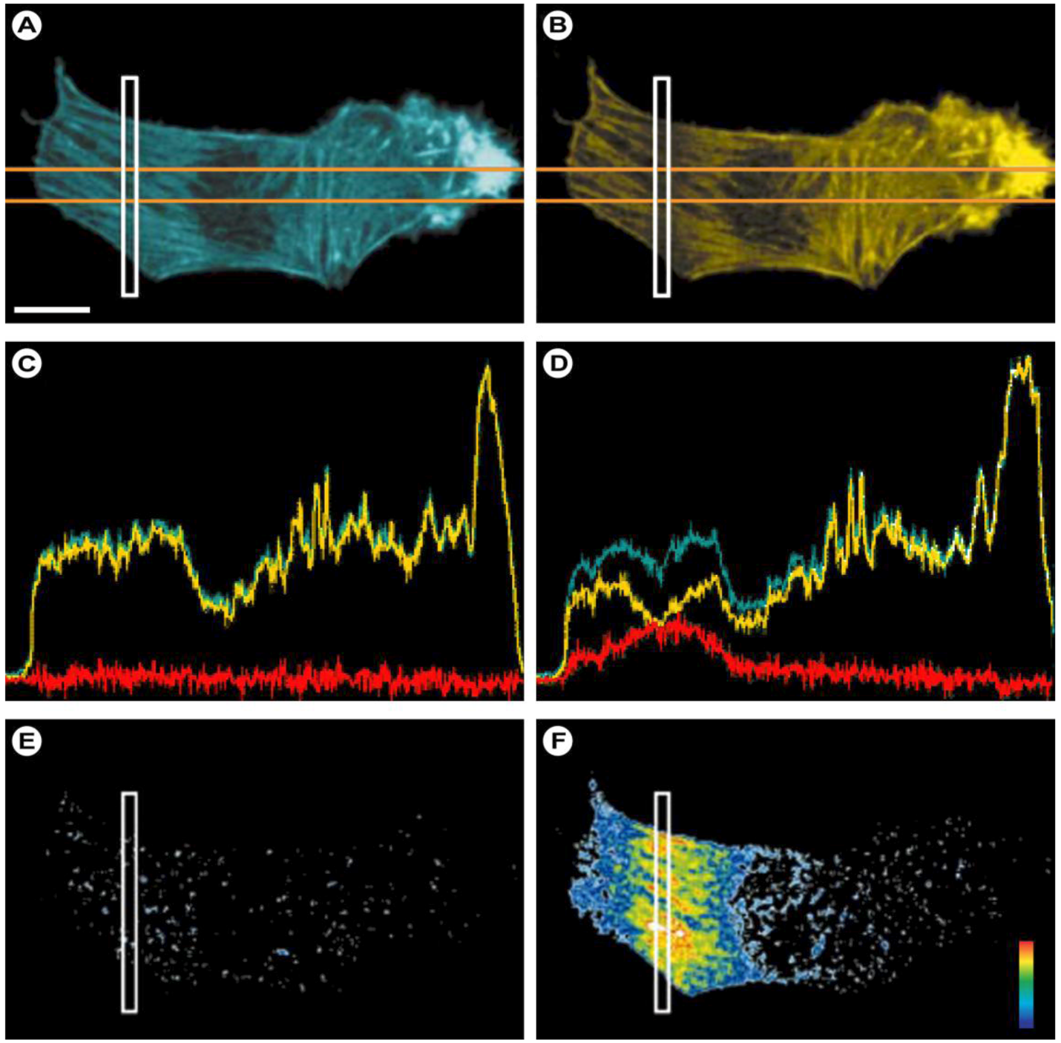 Molecules 17 04047 g017