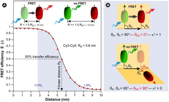 Molecules 17 04047 g018 550