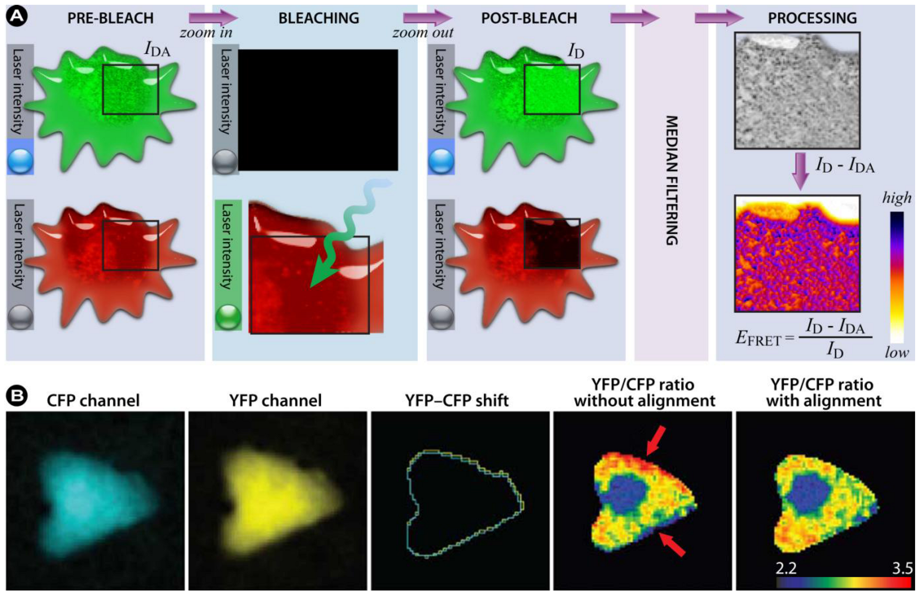 Molecules 17 04047 g022