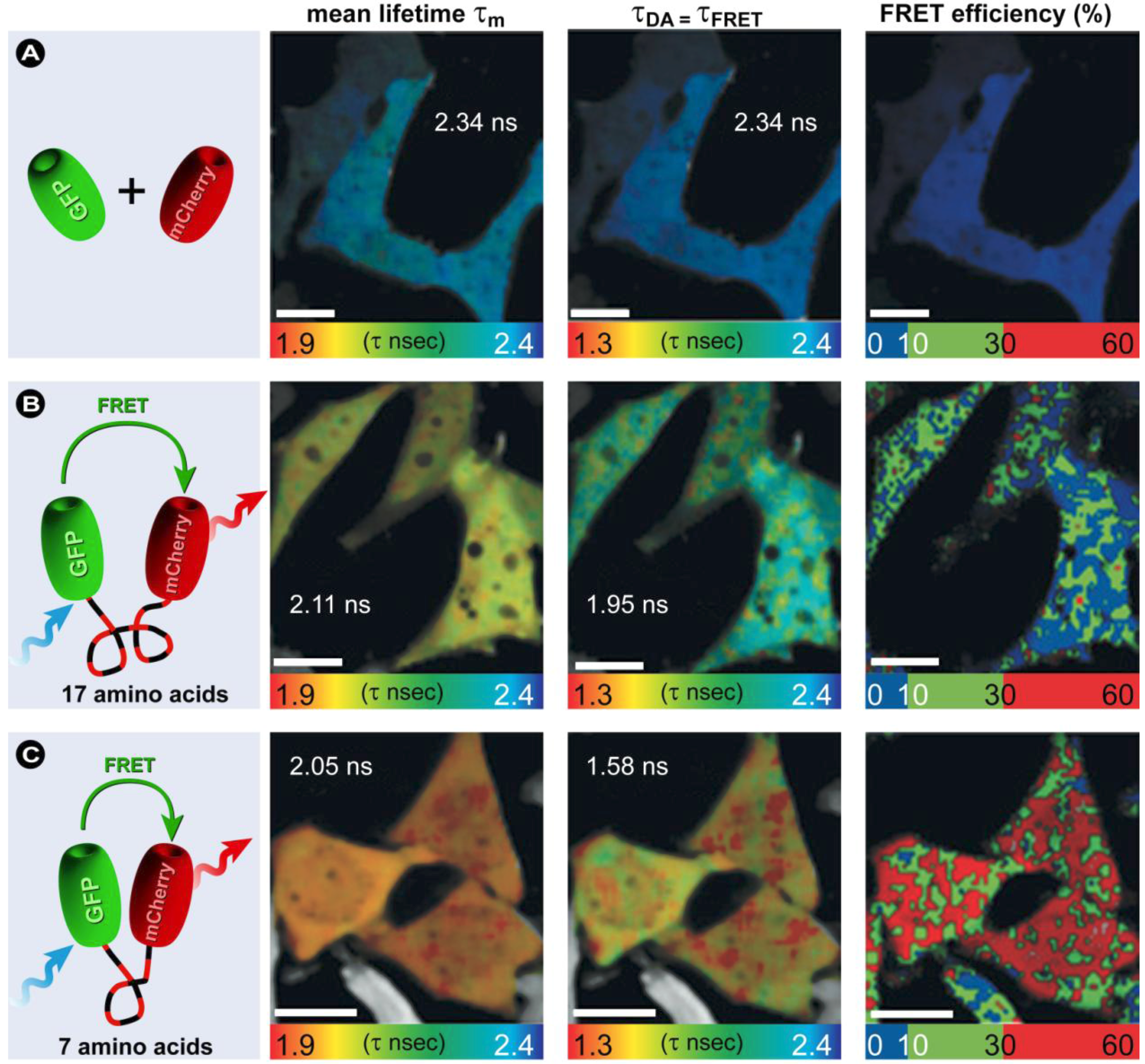 Molecules 17 04047 g023