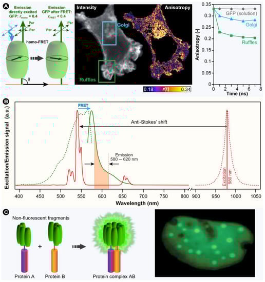 Molecules 17 04047 g024 550