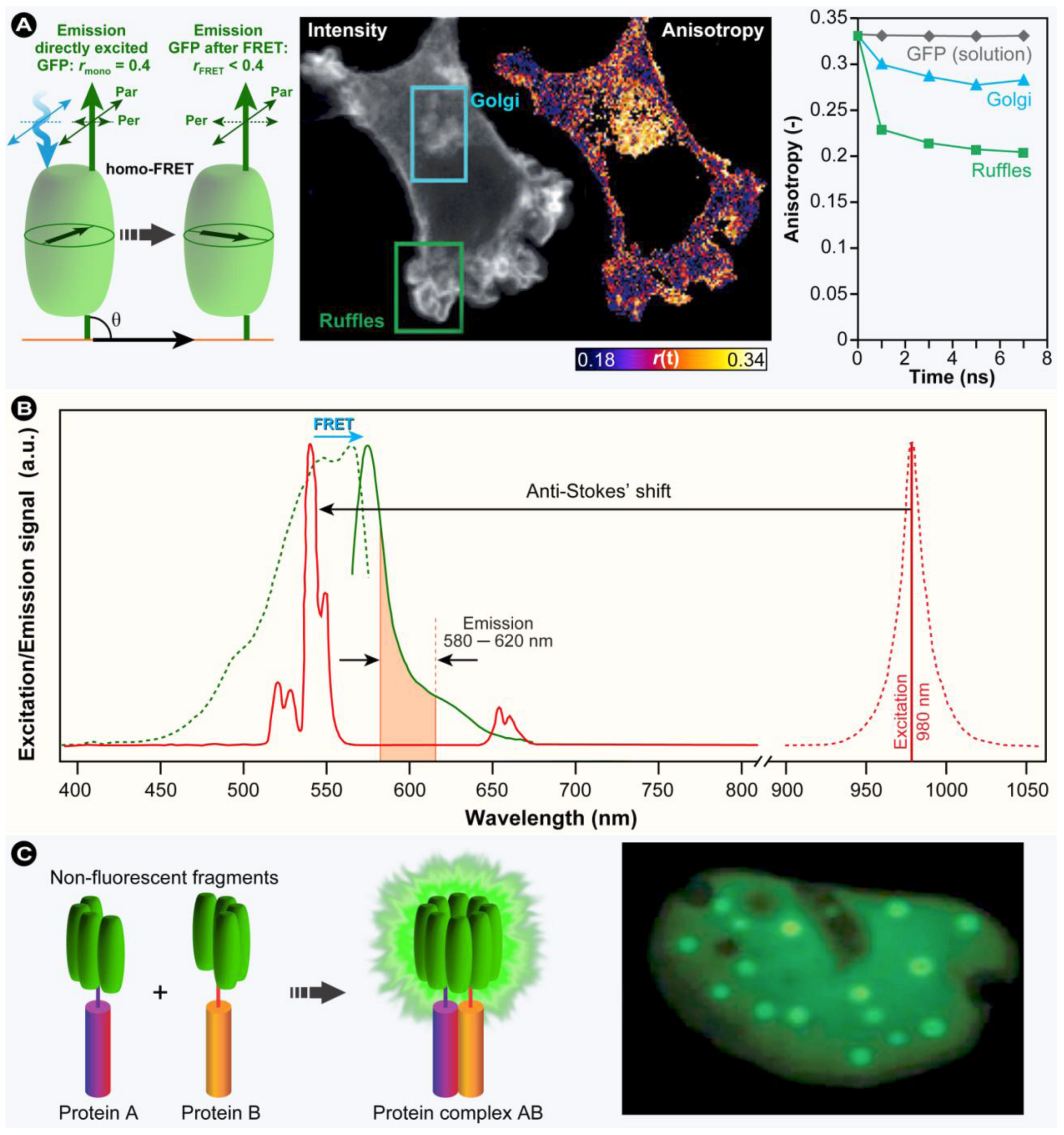 Molecules 17 04047 g024
