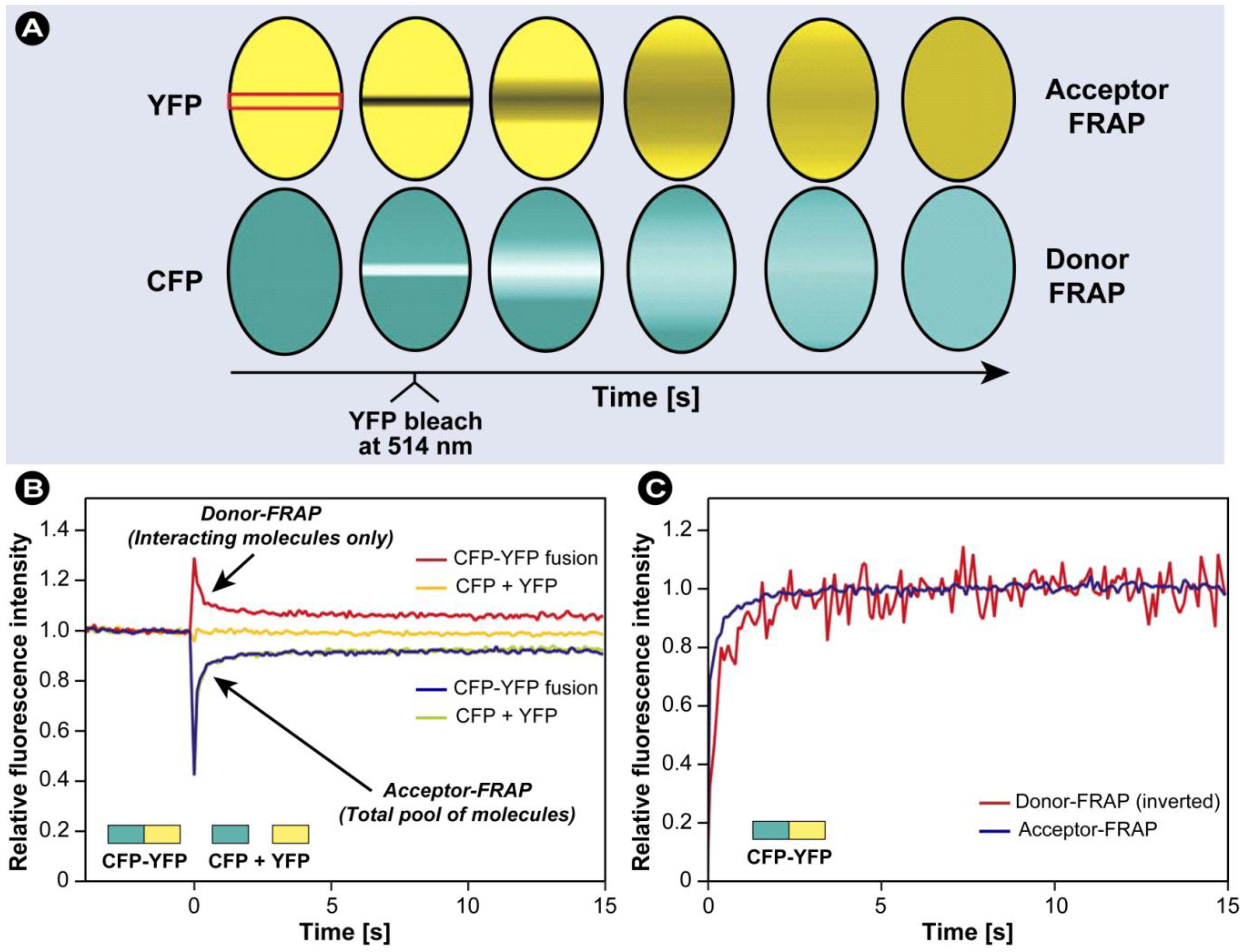 Molecules 17 04047 g025