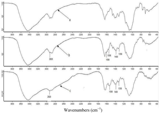 Molecules 17 04388 g001 550