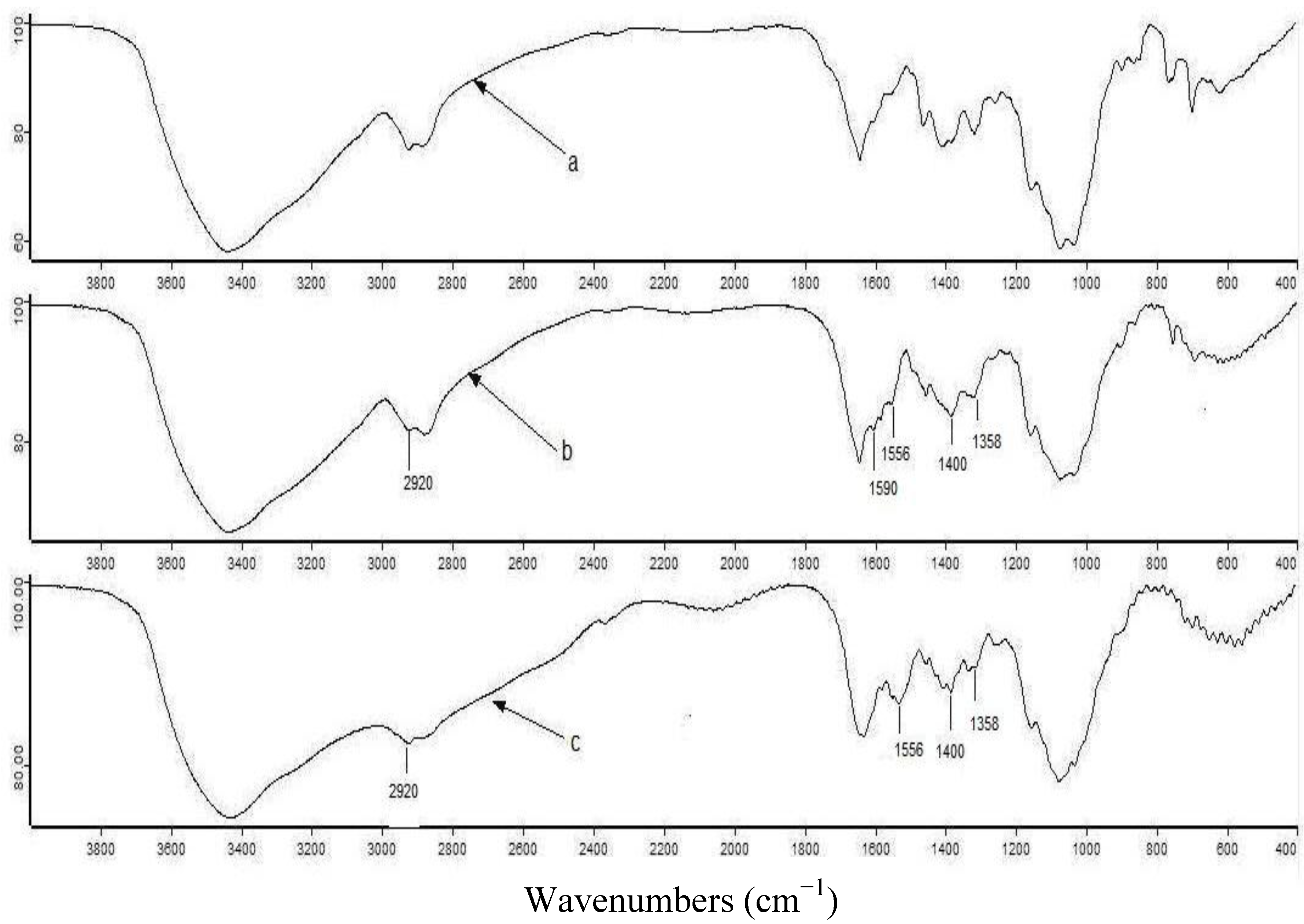 Molecules 17 04388 g001
