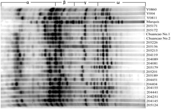 Molecules 17 04424 g001 550